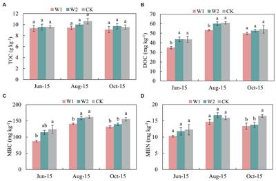 Effects of water stress on nutrients and enzyme activity in rhizosphere soils of greenhouse grape